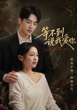 等不到说我爱你(全集)